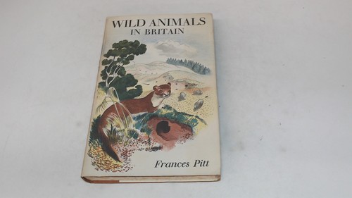 Wild animals in - wild,
