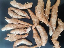 Organic Freshly dug washed