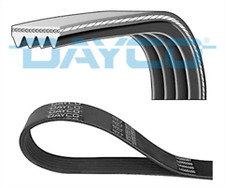 GENUINE DAYCO 4 RIBS 730MM