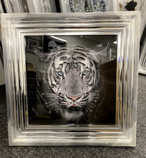 Tiger  Wall Art  in a Chrome Stepped Frame