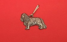 King Charles Spaniel Dog