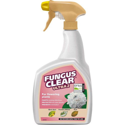Plant rose fungus clear - clear, ultra2