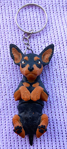 Dobermann pinscher dog - pinscher,