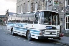 Coach photo whites - photo,