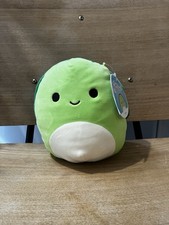 BNWT Tortoise Squishmallow