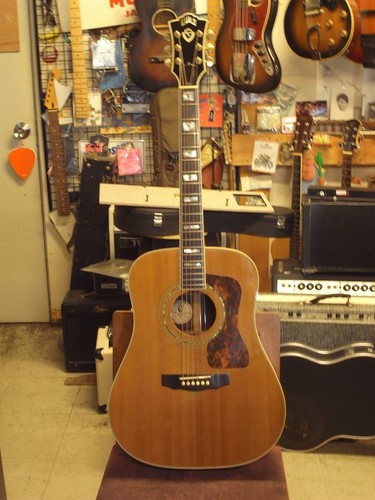 Guild used acoustic - d-55,