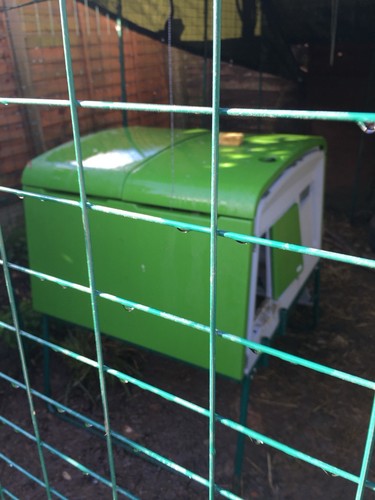 Omlet eglu cube - cube, run