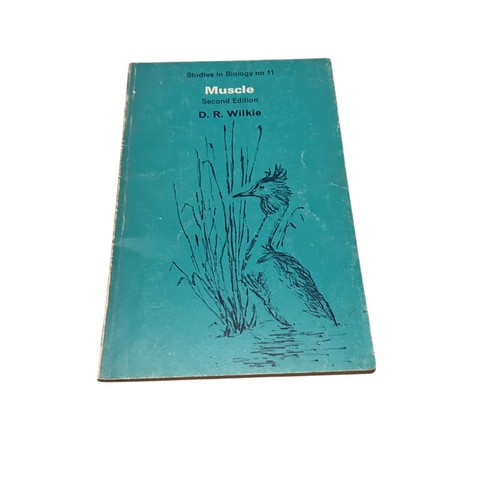 Muscle 11 - muscle, (studies