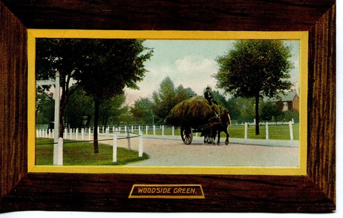 Horse pulling hay - horse,