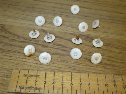 Antique georgian bovine bone - antique,