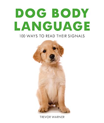 Dog body language - ways, to