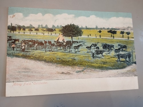 Vintage edwardian postcard - vintage, of