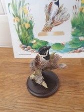 The Reed Bunting No 44 By Andy