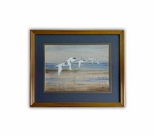 Original J.C.M. Nichols Watercolour Antique Painting British Wildlife Art Framed