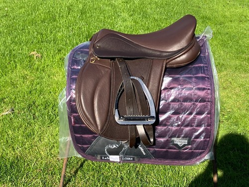 Dressage fig loire le - sm,