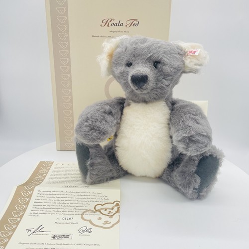 Steiff teddy bear - bear, ted