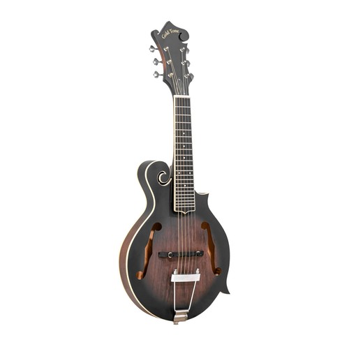 Gold tone 6 string - gold, f-6:
