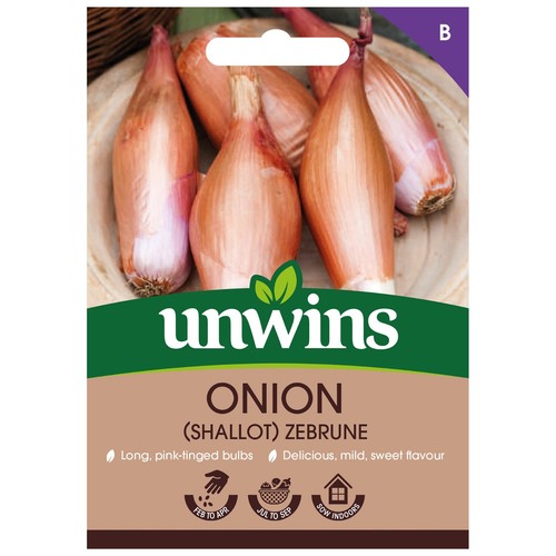 Unwins shallot seeds zebrune - ,