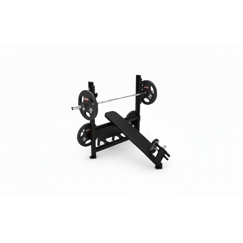 Gym80 olympic incline - gym80,