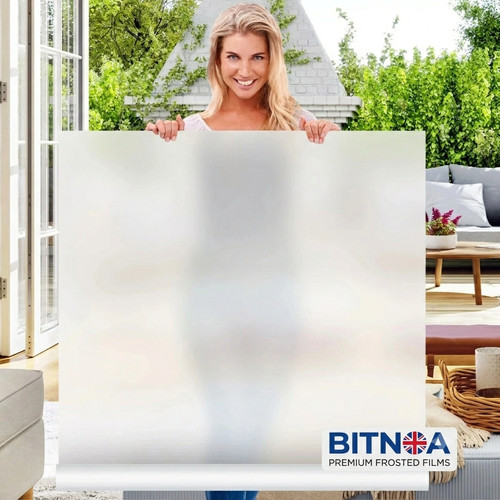 Frosted window privacy - frosted,