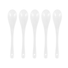 Set of 5 Ceramic Spoon