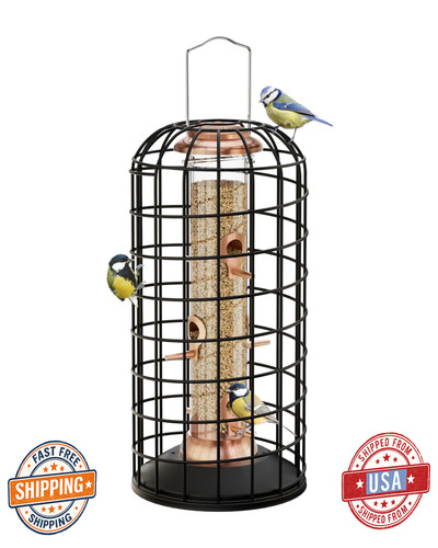 Iborn squirrel proof bird - iborn,