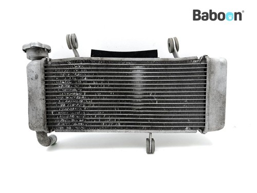 Radiator kawasaki 125 - kawasaki, z