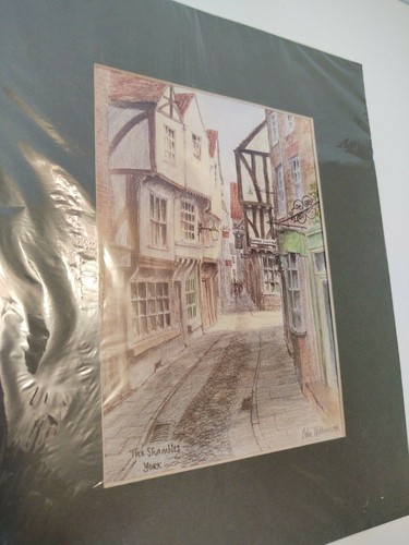 Colin williamson the shambles - colin, "the