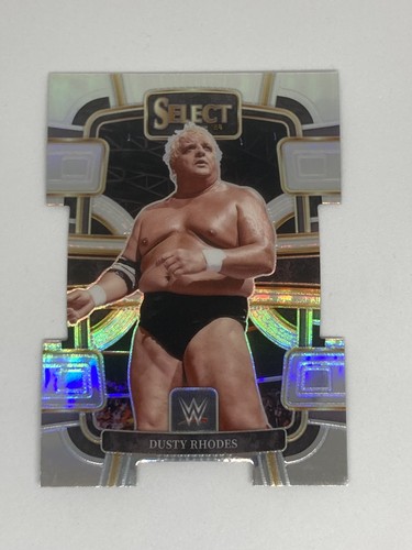 Dusty rhodes 2024 panini - #1,