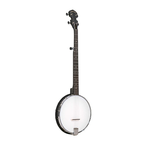 Gold tone acoustic - gold,