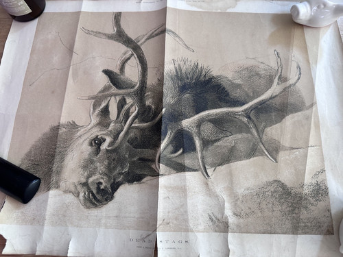 1876 dead stags sir edwin - 1876,