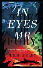 In the Eyes of Mr Fury -  NEW