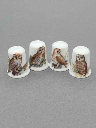 Owls english fine - english, china