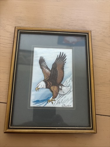 Cash bald eagle - eagle, cash’s