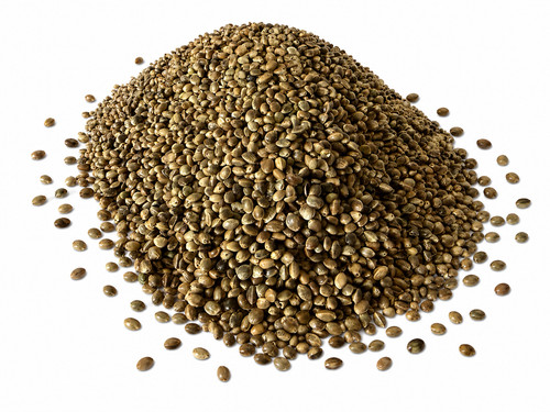 Unprepared hemp seed - ,