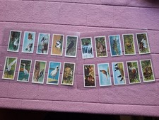 Complete set brooke bond - -,