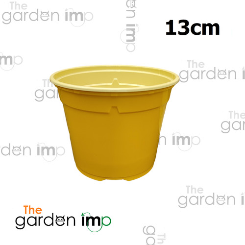 Plastic plant pots 13cm - plant,