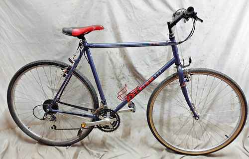 1993 raleigh series - raleigh, 300