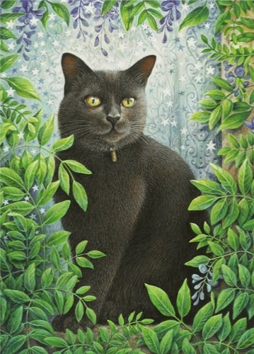 Starlight fine art blank - fine,