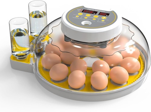 Egg incubator with - with, automatic