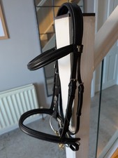 Sabre Cordoba anatomical