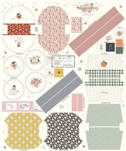 Minki kim bloomberry panel - minki,
