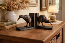Pair of Kiwi Bird Resin