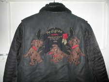 ICEBERG DISNEY PEDIGREE