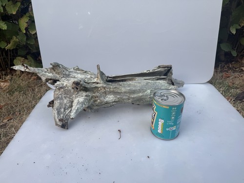 Bogwood spider wood corbo root - wood,