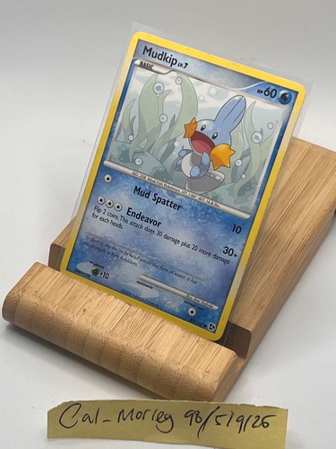 Mudkip pokemon great - mudkip,