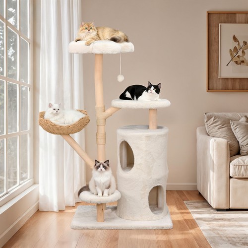 Bingopaw solid wood - solid, cat