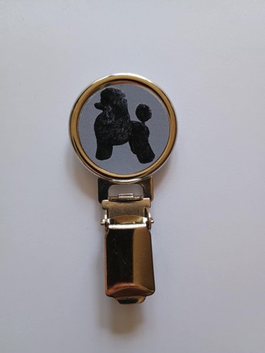 Poodle black dog show ring - poodle,