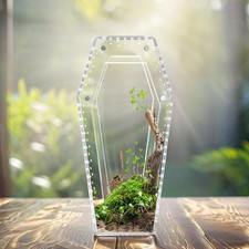 Acrylic Jumping Enclosure for Mantises Frogs Ventilated Terrarium Spider Tank