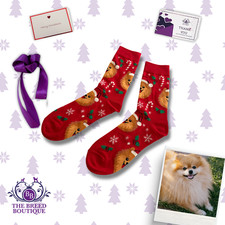 POMERANIAN CHRISTMAS SOCKS RED